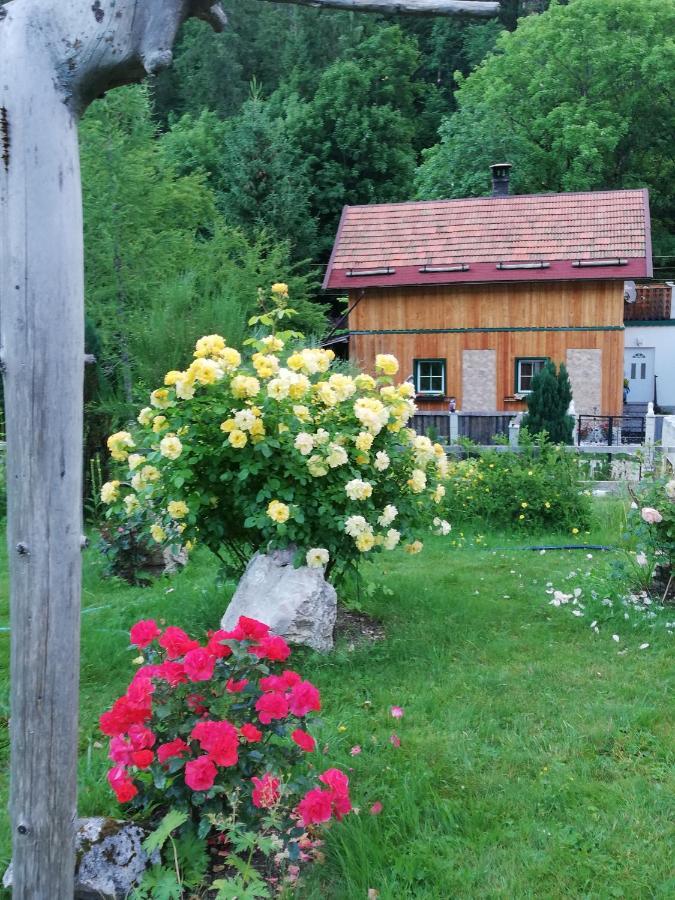 Georges Rast Villa Altaussee Luaran gambar
