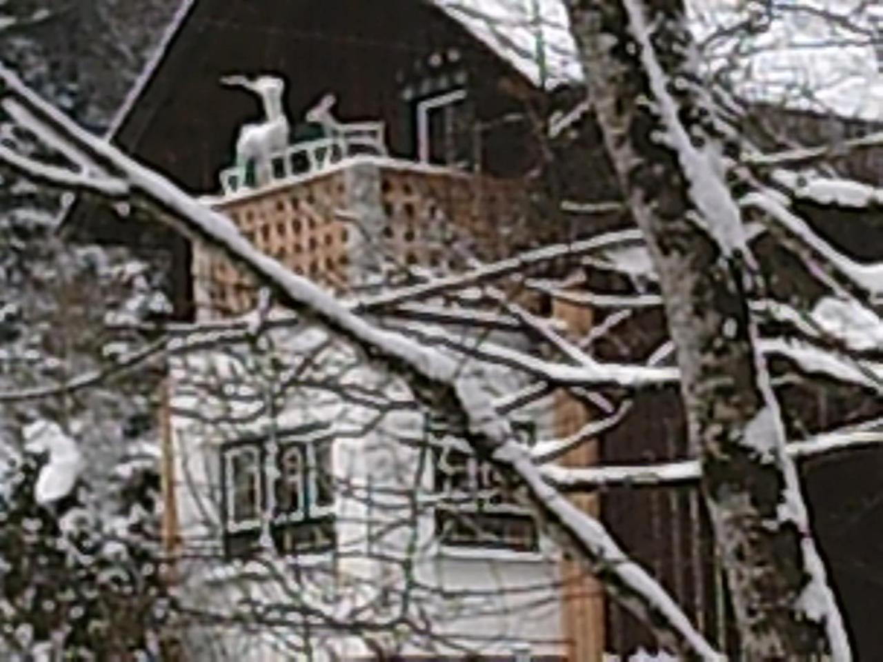 Georges Rast Villa Altaussee Luaran gambar