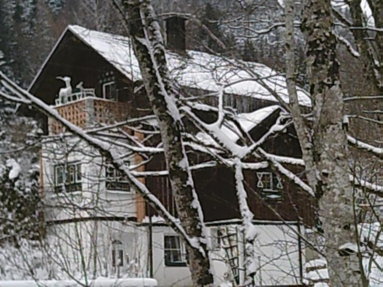 Georges Rast Villa Altaussee Luaran gambar