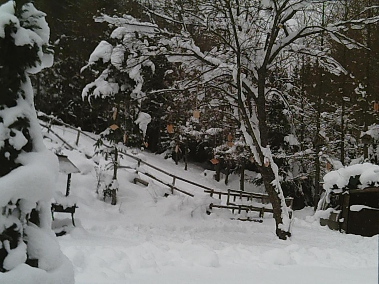 Georges Rast Villa Altaussee Luaran gambar