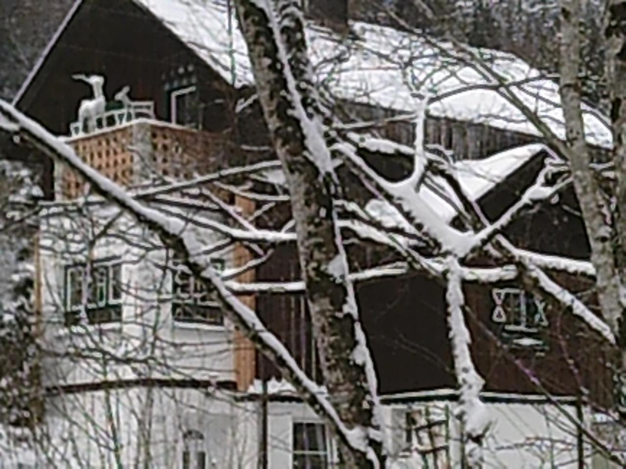 Georges Rast Villa Altaussee Luaran gambar
